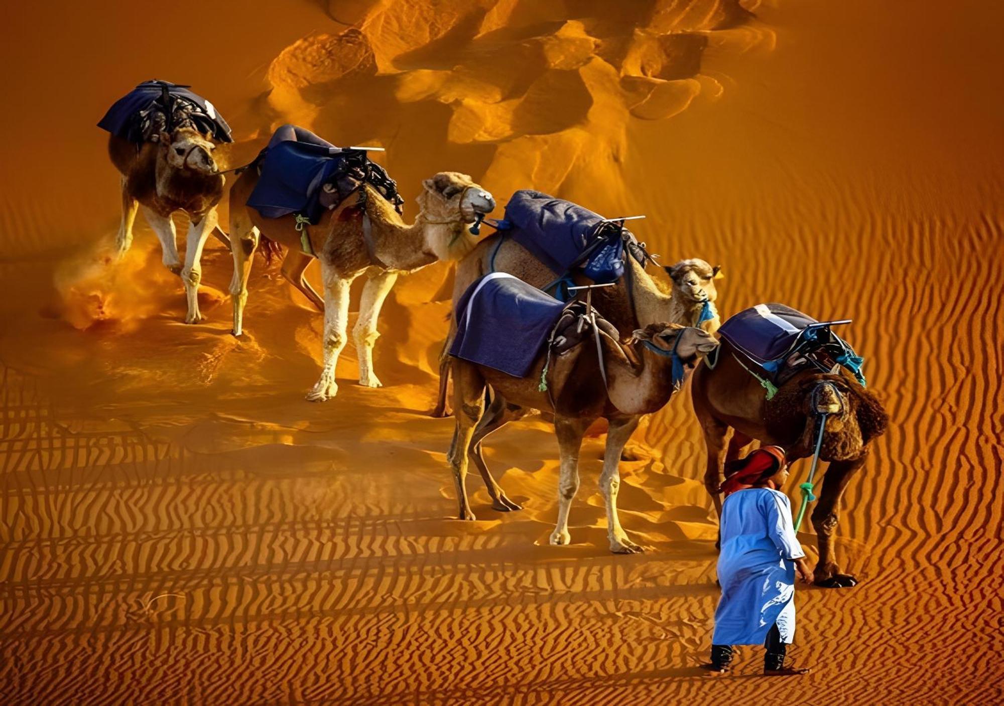 Merzouga Lovely Luxury Camp מראה חיצוני תמונה