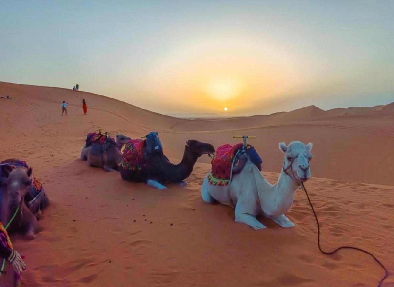 Merzouga Lovely Luxury Camp מראה חיצוני תמונה